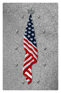 DF35T 421 SH SL Flag at Rest Shimmer Silver